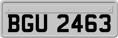 BGU2463