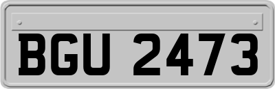 BGU2473