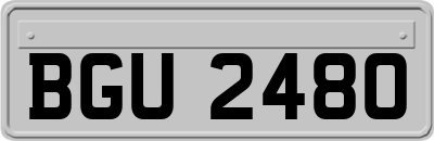 BGU2480