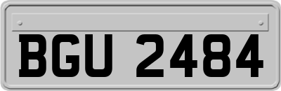 BGU2484