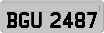 BGU2487