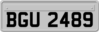 BGU2489