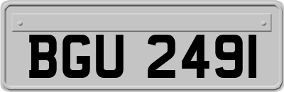 BGU2491