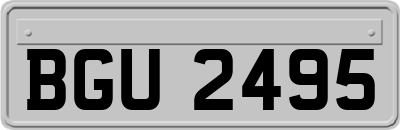 BGU2495