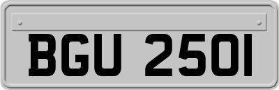 BGU2501