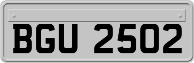BGU2502