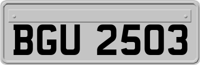 BGU2503