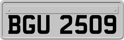 BGU2509