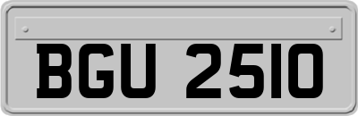 BGU2510