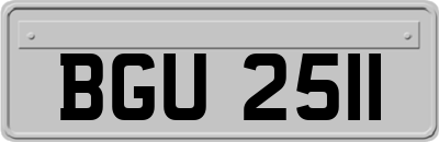 BGU2511