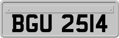 BGU2514
