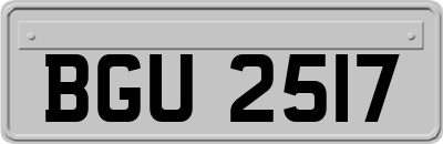 BGU2517