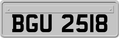 BGU2518