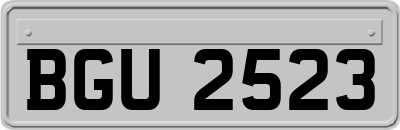 BGU2523