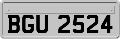 BGU2524