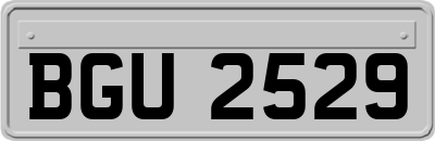 BGU2529