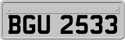 BGU2533