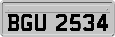 BGU2534