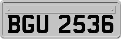 BGU2536
