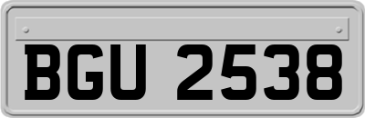 BGU2538