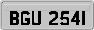BGU2541