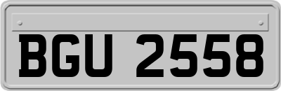 BGU2558