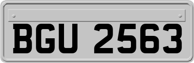 BGU2563