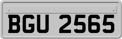 BGU2565