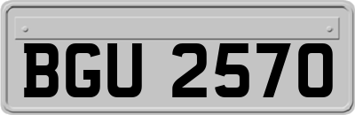 BGU2570