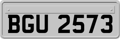 BGU2573