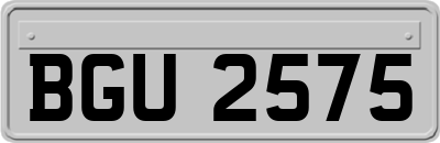 BGU2575