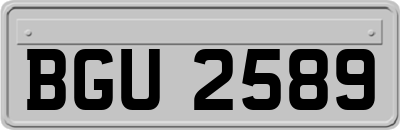 BGU2589