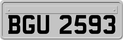 BGU2593