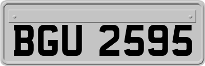 BGU2595
