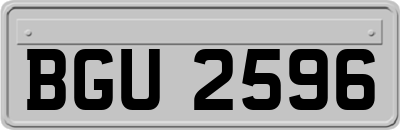 BGU2596