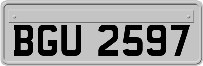 BGU2597