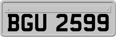 BGU2599