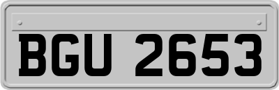BGU2653
