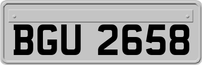 BGU2658