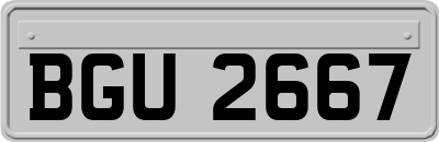 BGU2667