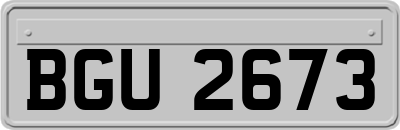 BGU2673