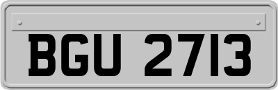 BGU2713