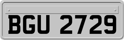 BGU2729