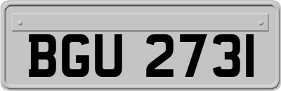 BGU2731