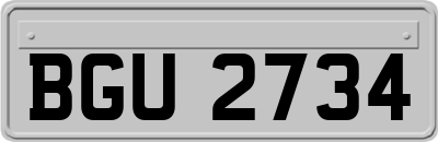 BGU2734