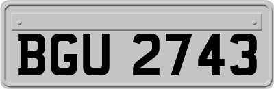 BGU2743