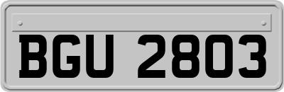 BGU2803