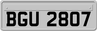 BGU2807