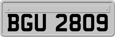 BGU2809