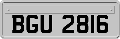 BGU2816